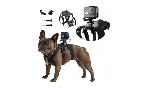 Dog Harness Vest with Buckle Mounts