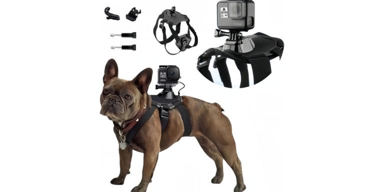 Dog Harness Vest with Buckle Mounts